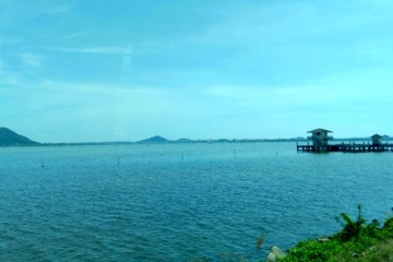 WhatsApp Image 2019-05-22 at 3.32.12 PM