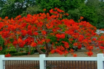 WhatsApp Image 2019-05-22 at 3.32.15 PM