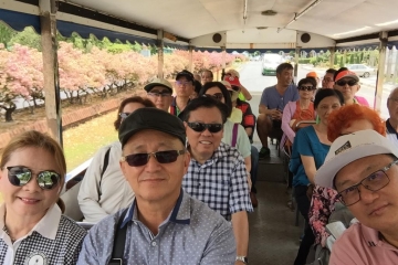 WhatsApp Image 2019-05-22 at 3.32.18 PM (2)