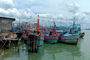 WhatsApp Image 2019-05-22 at 3.41.44 PM (1)